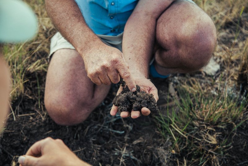 The GRASS Project restores degraded rangelands, boosting carbon sequestration and biodiversity.
