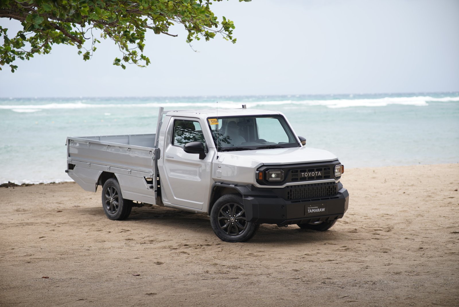 Tamaraw cargo and utility variants highlight business savings and straight-cash promotions.