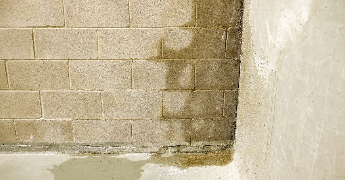 A cinderblock wall in a basement that has moisture seeping through it. There is also some water on the floor.