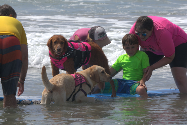 Puppy saves kids with special needs from drowning