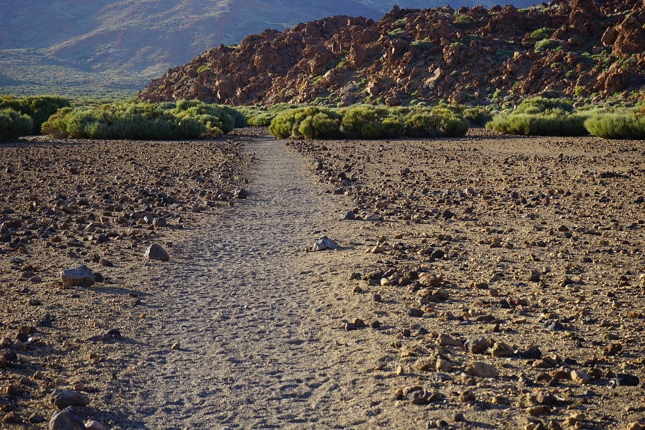 Signs of life at ‘no-man’s land’ around Taal volcano