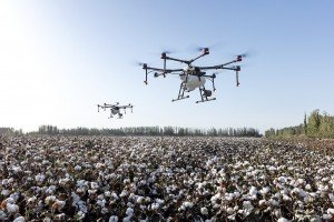 drones, coronavirus [pixabay photo]