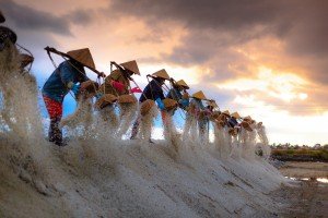 farmers, coronavirus [pixabay photo]