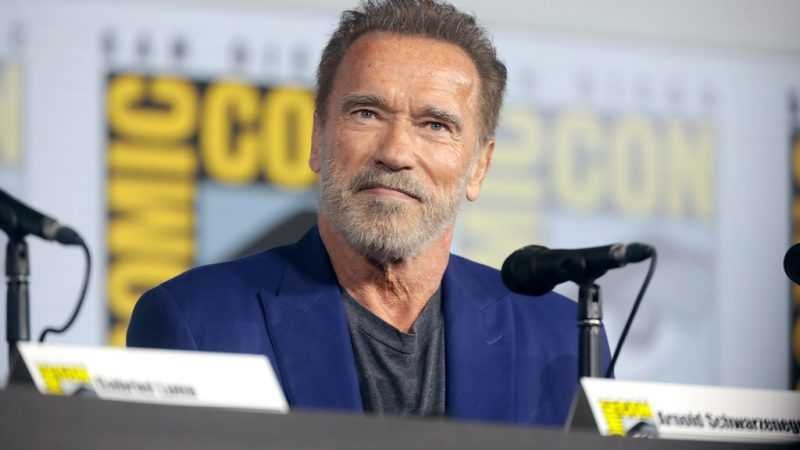 Arnold Schwarzenegger to star in spy drama series on Netflix