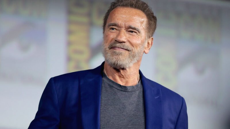 Netflix Adds New Cast to Untitled Arnold Schwarzenegger Spy Adventure Series