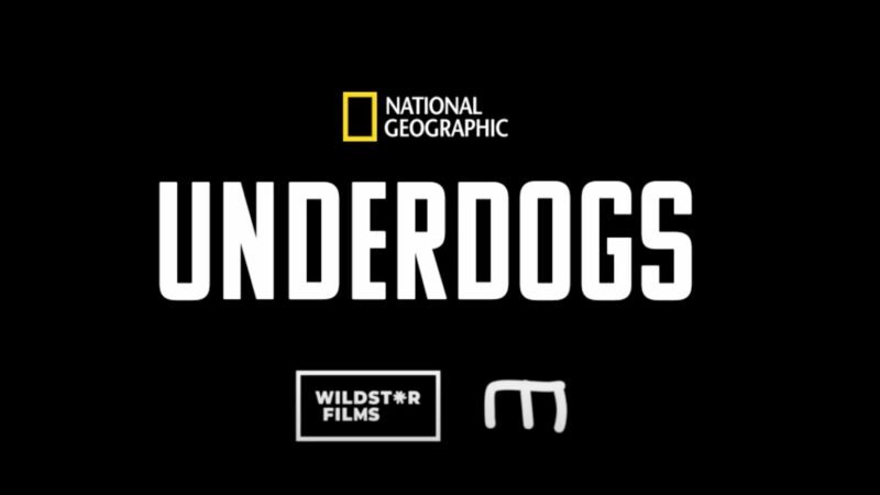 ‘Underdogs’ from Ryan Reynolds gets a greenlight from National Geographic