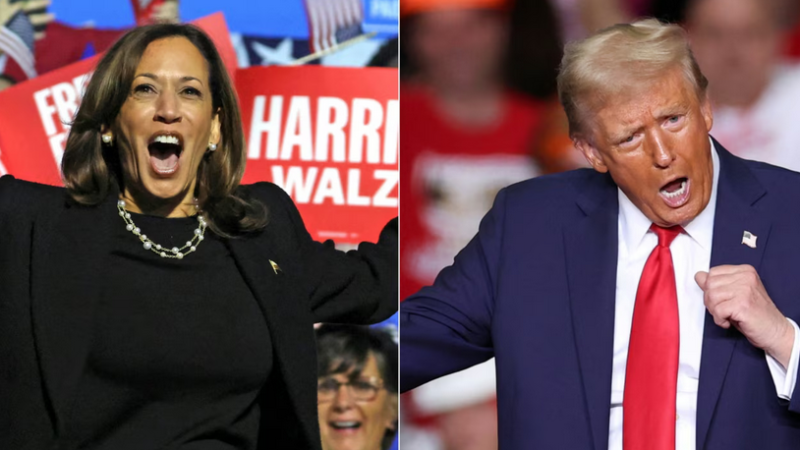 US Presidential Election Showdown: Kamala Harris and Donald Trump in tense battle for the White House