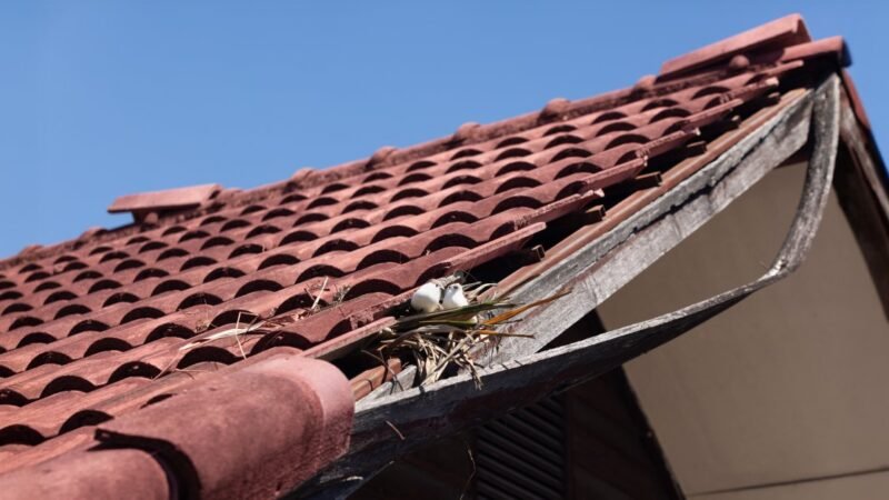 Is Your Roof Unsafe? 7 Red Flags To Watch For
