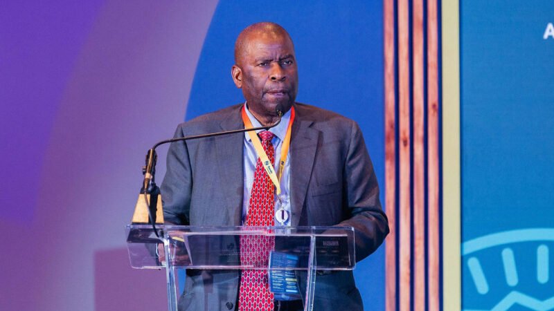 Mozambique energy minister to spotlight LNG and renewables at AEW 2025 in Cape Town