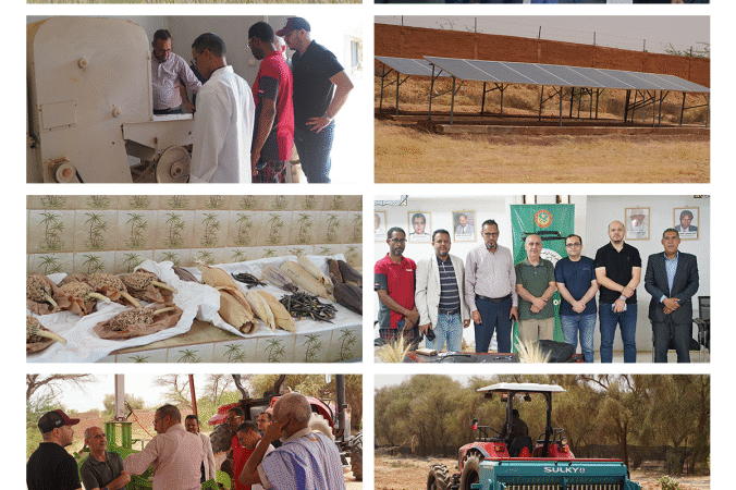 AATB Program launches wheat seed multiplication project in Mauritania