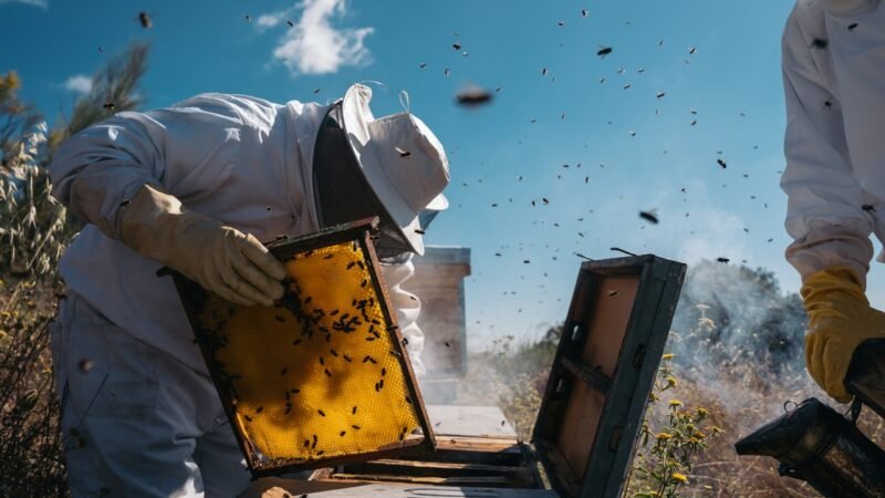 Simple Ways to Keep Your Bees Thriving All Year