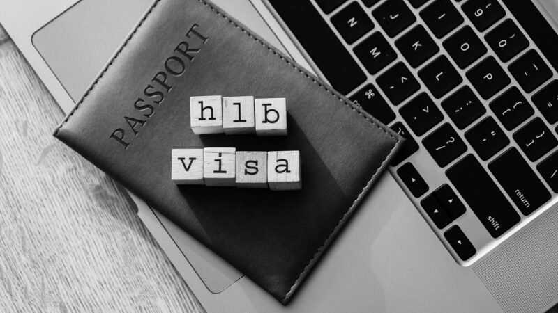 Career Insights for Professionals on U.S. Work Visas