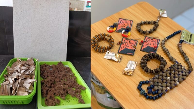 Unas Canvas turns banana waste into livelihoods for Filipino communities