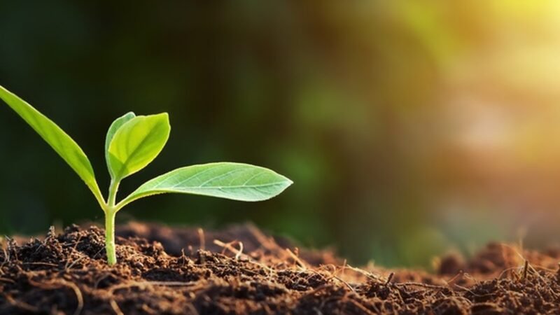 The Environmental Impact of Solvent Recycling