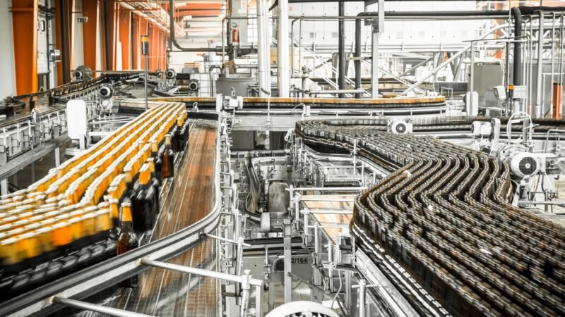 Common Causes of Downtime in Food and Beverage Production