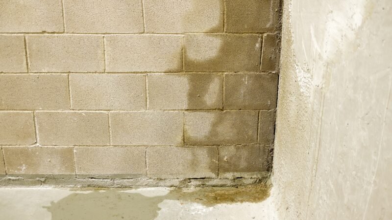 Why Basement Moisture Problems Keep Coming Back