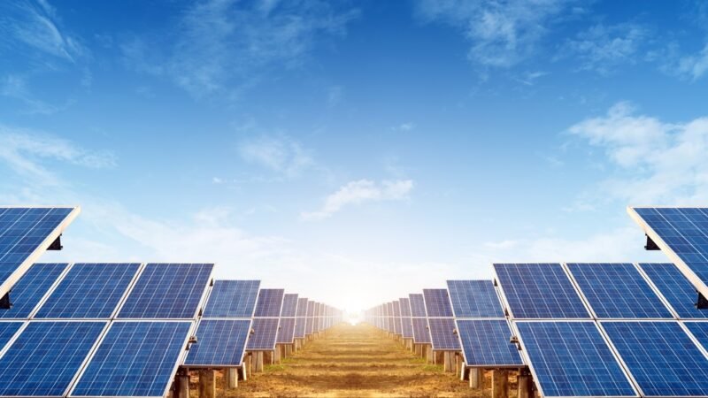 7 Signs Your Solar Panels May Need Professional Service