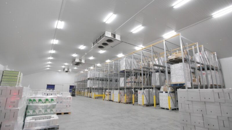 Planning Storage That Adapts to Business Growth